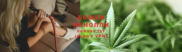 винт Богданович